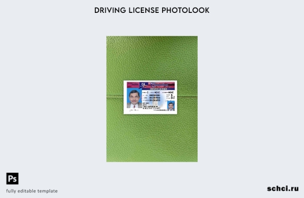цифровая загрузка США, Коннектикут, версия водительских прав, фотообраз шаблона 